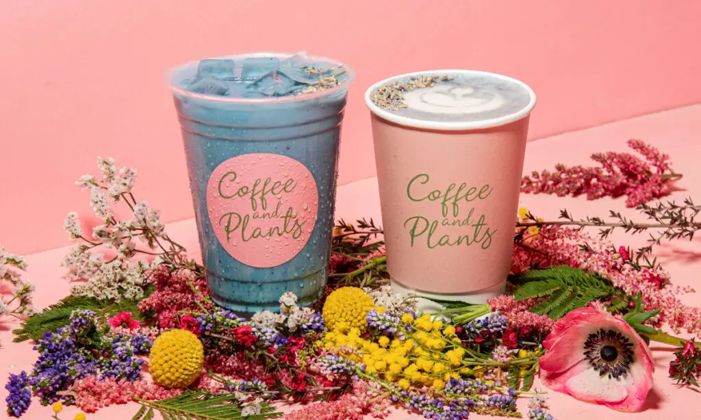 LOS ANGELES’ FIRST PLANT-BASED COFFEE SHOP, COFFEE AND PLANTS TO EXPAND AND OPEN ITS SECOND LOCATION IN STUDIO CITY ON APRIL 30th